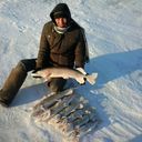 ���������� ������, ���� ������� ������, 43 ����, ������������ ��� ������