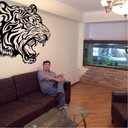 ���������� ����, ���� ������� Elman, 45 ���, ������������ ��� ������, ����� � ���������, c�������� ���������