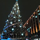 ���������� ������, ���� ������� 9251818143, 44 ����, ������������ ��� ����� � ���������, c�������� ���������