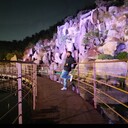 ���������� ������, ���� ������� �����, 31 ���, ������������ ��� ������, ����� � ���������