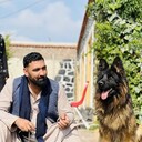 ���������� ������, ���� ������� Abdullah, 37 ���, ������������ ��� ������, ����� � ���������