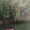 ���������� �������, ���� ������� ������, 34 ����, ������������ ��� ������, ����� � ���������, c�������� ���������