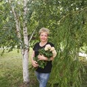  ,   , 51 ,   ,   