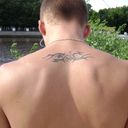 ���������� �����, ���� ������� Fich, 36 ���, ������������ ��� ������, ����� � ���������, c�������� ���������