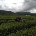  ,   , 38 ,     , c 