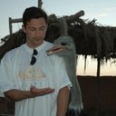 ���������� ������, ���� ������� ����������, 41 ���, ������������ ��� ������, ����� � ���������, c�������� ���������