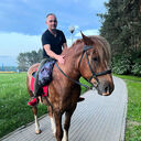 ���������� �����, ���� ������� ��������, 36 ���, ������������ ��� ������, ����� � ���������, c�������� ���������