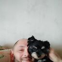 ���������� �������, ���� ������� ���������, 41 ���, ������������ ��� ������, ����� � ���������, c�������� ���������