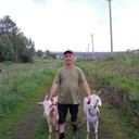  ,     , 37 ,   ,   