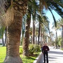 ���������� ������, ���� ������� ����, 58 ���, ������������ ��� ����� � ���������, c�������� ���������