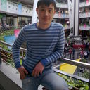 ���������� ������, ���� ������� LION, 41 ���, ������������ ��� ������