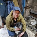 ���������� ��������, ���� ������� �������, 38 ���, ������������ ��� ������, ����� � ���������