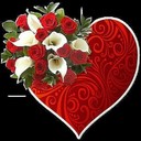 ���������� �����-���������, ���� ������� ����, 36 ���, ������������ ��� ������, ����� � ���������, c�������� ���������