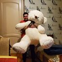 ���������� �����, ���� ������� �����, 28 ���, ������������ ��� ������, ����� � ���������