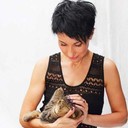 ���������� ����, ���� ������� �����, 48 ���, ������������ ��� ����� � ���������, c�������� ���������