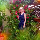 ���������� �����, ���� ������� ���������, 44 ����, ������������ ��� ����� � ���������, c�������� ���������