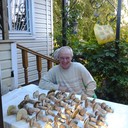 ���������� ������, ���� ������� ��������, 72 ����, ������������ ��� ������, ����� � ���������, c�������� ���������