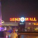 ���������� ������������, ���� ������� ������, 51 ���, ������������ ��� ����� � ���������, c�������� ���������