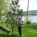  ,   Angela, 49 ,   ,   
