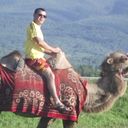 ���������� ������, ���� ������� Safar, 50 ���, ������������ ��� ������, ����� � ���������, c�������� ���������