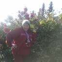  ,   , 39 ,   ,   , 