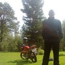 ���������� �����, ���� ������� �������, 37 ���, ������������ ��� ������