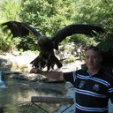 ���������� ������, ���� ������� �����, 44 ����, ������������ ��� ������