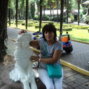  ,   , 62 ,   ,   , c 
