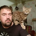 ���������� �����, ���� ������� �������, 55 ���, ������������ ��� ������, ����� � ���������, c�������� ���������