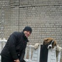 ���������� ����, ���� ������� ����, 38 ���, ������������ ��� ������, ����� � ���������, c�������� ���������, ���������