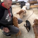 ���������� ���������, ���� ������� ������, 32 ����, ������������ ��� ������, ����� � ���������, c�������� ���������