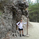  ,   , 41 ,   ,   , c , 