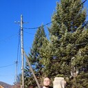  ,   Denis, 25 ,   ,   , c , 