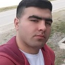  ,   Royal, 29 ,   ,   , c 