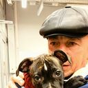   ,   , 54 ,   ,   , c , 