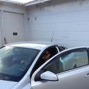 ���������� ������, ���� ������� ������, 37 ���, ������������ ��� ������, ����� � ���������, c�������� ���������