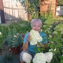  ,   , 58 ,   ,   
