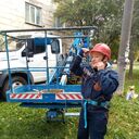  ,   Petr, 42 ,     , c 