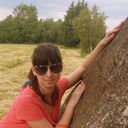 ���������� �����, ���� ������� ����, 37 ���, ������������ ��� ������, ����� � ���������, c�������� ���������