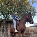 ���������� ������, ���� ������� ���������, 33 ����, ������������ ��� ������, ����� � ���������