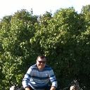  -,   Vladimir, 61 ,     , c 