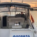 ���������� �����-���������, ���� ������� �������, 40 ���, ������������ ��� c�������� ���������