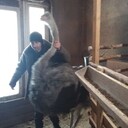 ���������� ����������, ���� ������� �������, 49 ���, ������������ ��� ������, ����� � ���������