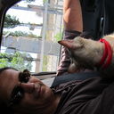 ���������� �������, ���� ������� ����, 55 ���, ������������ ��� ������, ���������