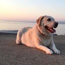  ,   Carlos, 62 ,   ,   , c 