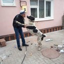 ���������� �������, ���� ������� ���������, 55 ���, ������������ ��� ������, ����� � ���������, c�������� ���������