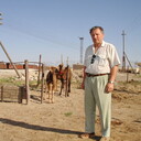   ,   , 79 ,   ,   