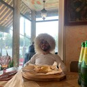 ���������� ������, ���� ����� Arman, 24 ����, ������������ ��� ������, ����� � ���������