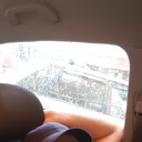 ���������� ���������, ���� ������� ���������, 37 ���, ������������ 