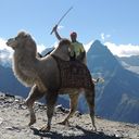  ,   Sasha, 65 ,   ,   , c 